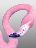 Volition Labs Pink Flamingo